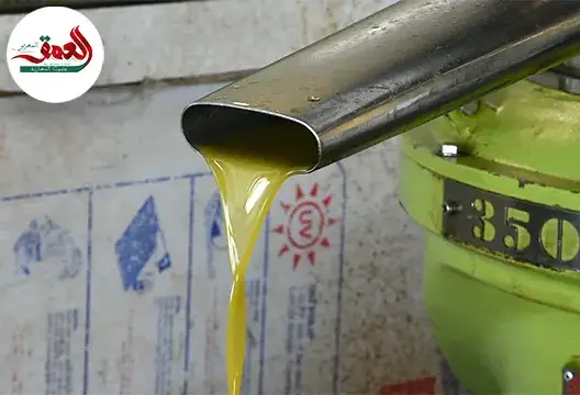 انخفاض طفيف في أسعار “الزيت البلدية” بصفرو