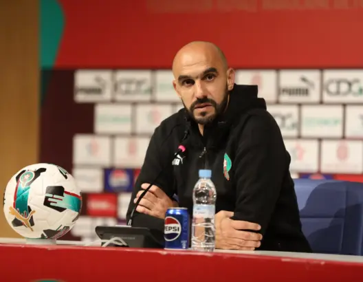 الناخب الوطني المغربي