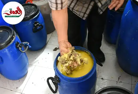 الخليع
