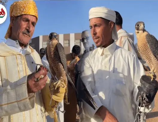 مغاربة يحتفلون باليوم العالمي للصقور