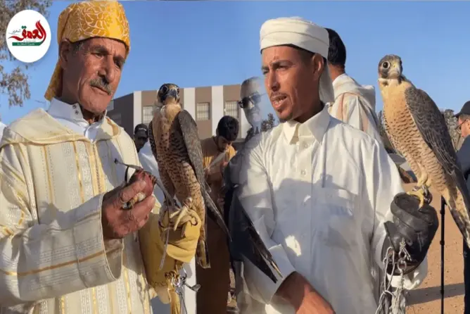 مغاربة يحتفلون باليوم العالمي للصقور