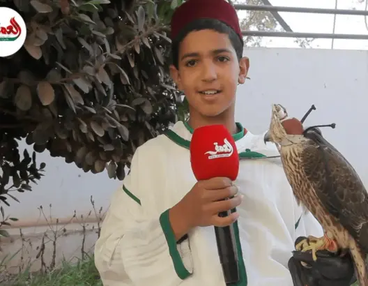 أصغر صياد بالصقور يروي تفاصيل مبهرة