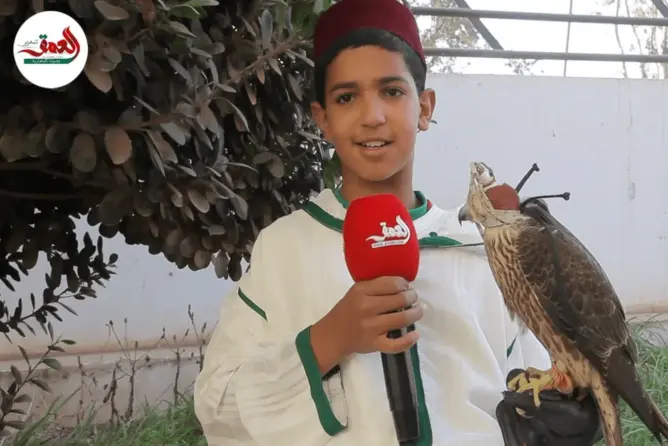أصغر صياد بالصقور يروي تفاصيل مبهرة