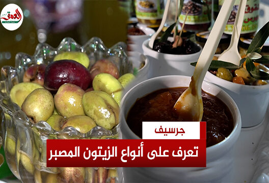 زيتون جرسيف يستلهم التجربة الايطالية في التصبير