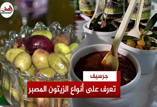 زيتون جرسيف يستلهم التجربة الايطالية في التصبير