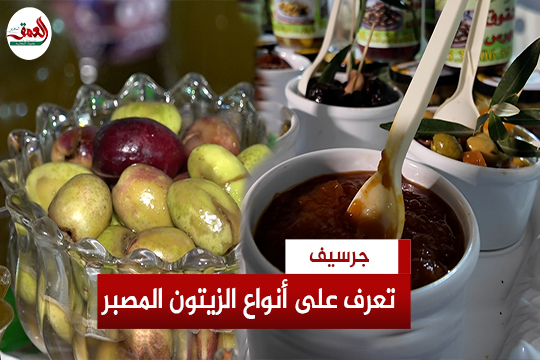 زيتون جرسيف يستلهم التجربة الايطالية في التصبير