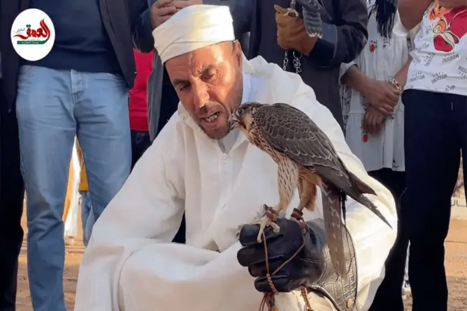 “الحياحة” ..لغة التواصل مع الصقور