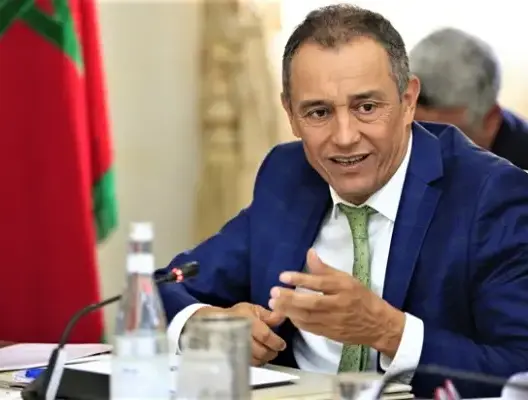 الشامي: مازالت رئيسا للمجلس الاقتصادي.. وقبعة الاتحاد وضعتها في الخزانة