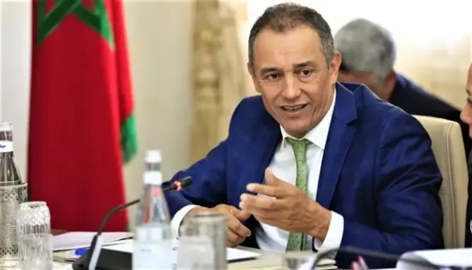 الشامي: مازالت رئيسا للمجلس الاقتصادي.. وقبعة الاتحاد وضعتها في الخزانة