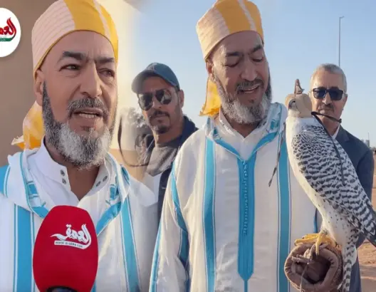 يعيش في المناطق الباردة .. صقّار مغربي يتحدث عن جمال وقوة الصقر الروسي الجير