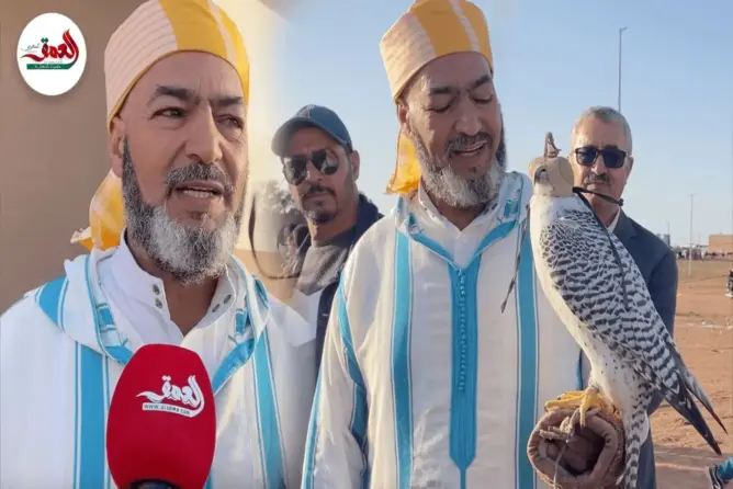 يعيش في المناطق الباردة .. صقّار مغربي يتحدث عن جمال وقوة الصقر الروسي الجير
