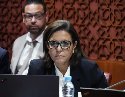 لتدبير المصايد.. الدريوش تعلن وضع 30 مخططا لمواجهة تراجع مخزون السردين