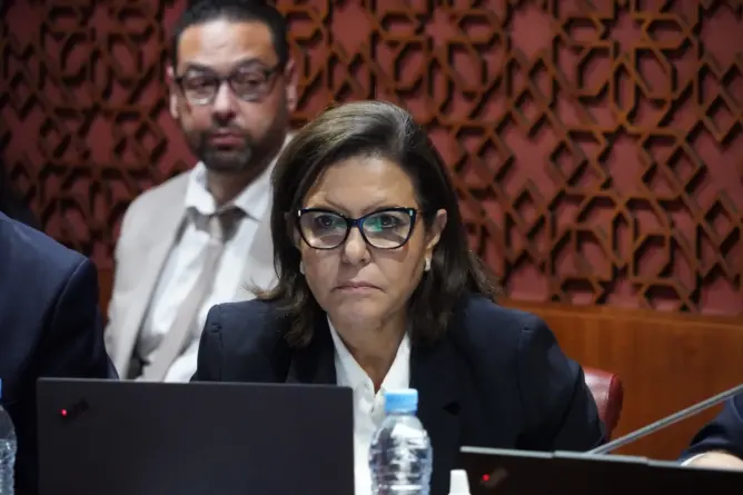 لتدبير المصايد.. الدريوش تعلن وضع 30 مخططا لمواجهة تراجع مخزون السردين