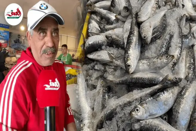 السردين يتجاوز 20 درهما بالمغرب