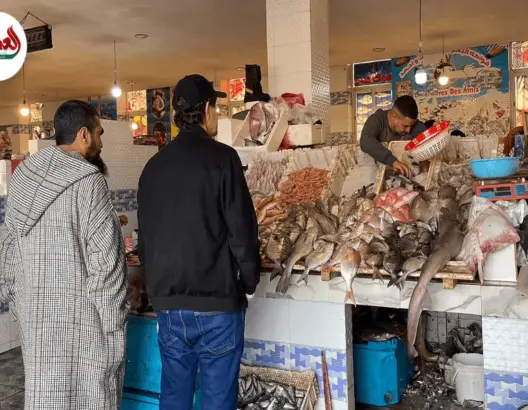 إقبال على الأسماك بالجديدة رغم الغلاء