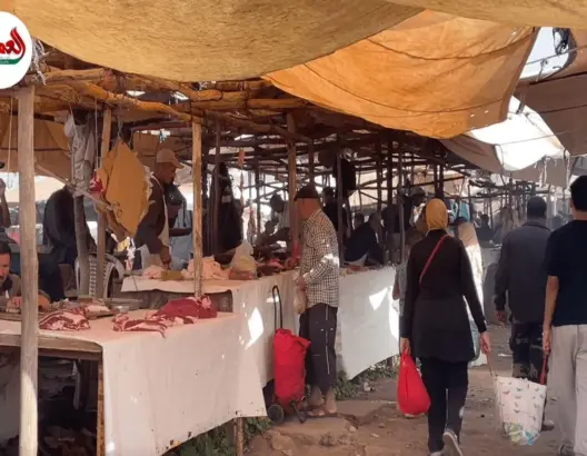 سوق بالجديدة بدون مجزرة