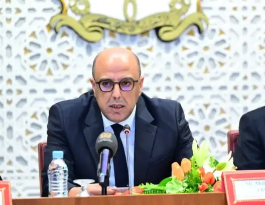 ولد الرشيد: دول الجنوب مطالبة باستثمار الذكاء الاصطناعي واستقطاب العقول المبدعة