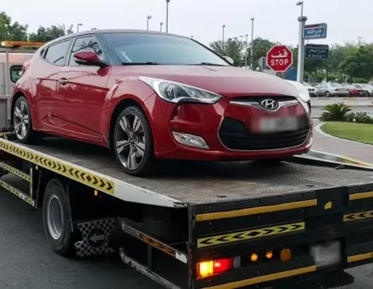 الحكومة تعيد النظر في دفتر تحملات نشاط “الديبناج” وتخصص منحا لتجديد الحظيرة