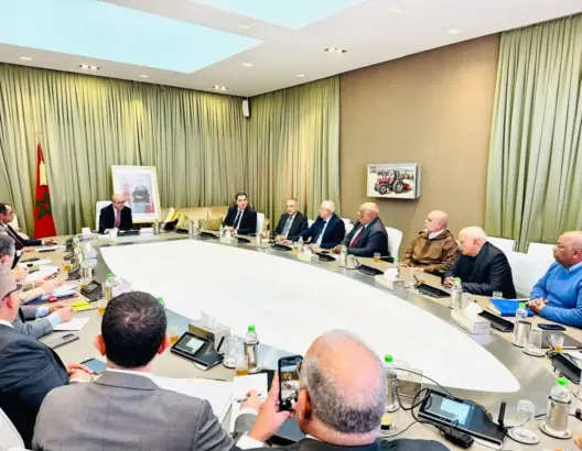 الدواجن بالمغرب.. ارتفاع الأسعار مدفوع بالطلب وزيادات قياسية في الواردات والإنتاج