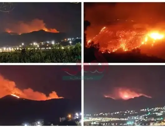 وسط طقس بارد.. حريق ضخم يلتهم غابة موكلاتة قرب “عين الزرقاء” بتطوان (فيديو)