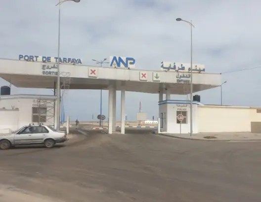 التهريب والاحتكار.. “ممارسات غير قانونية” تخنق قطاع الصيد البحري بطرفاية