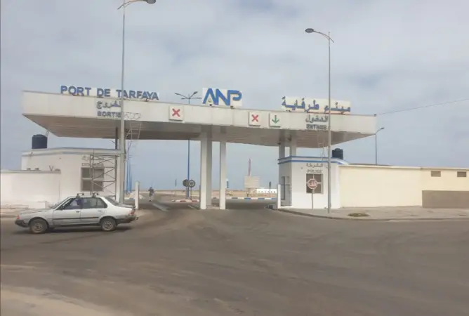 التهريب والاحتكار.. “ممارسات غير قانونية” تخنق قطاع الصيد البحري بطرفاية