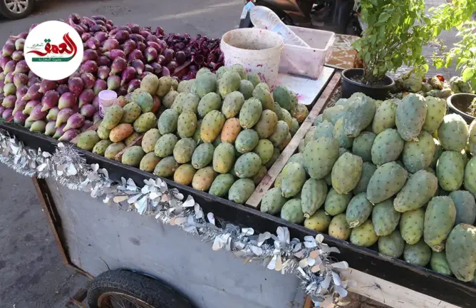 "التيشوكي والهندية".. بائع متجول بمراكش يروي قصته مع فاكهة موسمية يُقبل عليها المواطنين