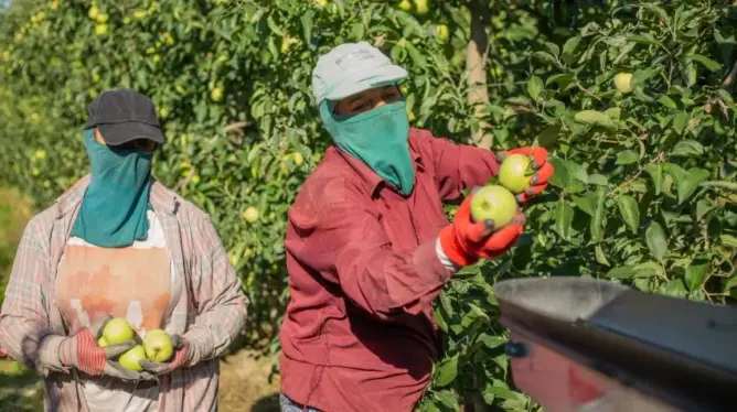 ضمنها المغرب.. تحذيرات أوروبية من الإفراط في التنبيهات الصحية على المنتجات القادمة من إفريقيا