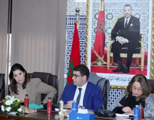 تضم لقجع ووهبي واخشيشن.. “البام” يشكل لجنة مصغرة لتدبير مشاورات تشكيل الحكومة برئاسة المنصوري