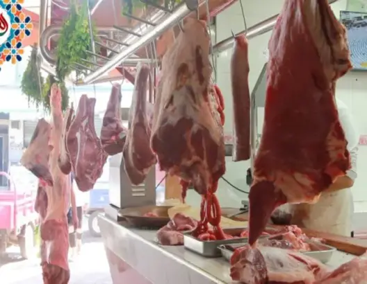حلول الاستيراد تفشل في لجم غلاء اللحوم.. الغنبوري: يجب تصحيح مسار الأزمة