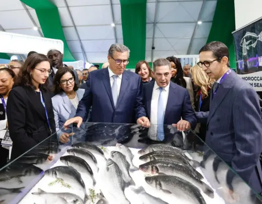 أخنوش يعطي الانطلاقة الرسمية لفعاليات الدورة السابعة لمعرض “أليوتيس” الدولي بأكادير