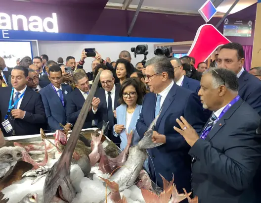 بمشاركة 50 دولة.. أخنوش يفتتح المعرض الدولي للصيد البحري “أليوتيس” بأكادير (فيديو)