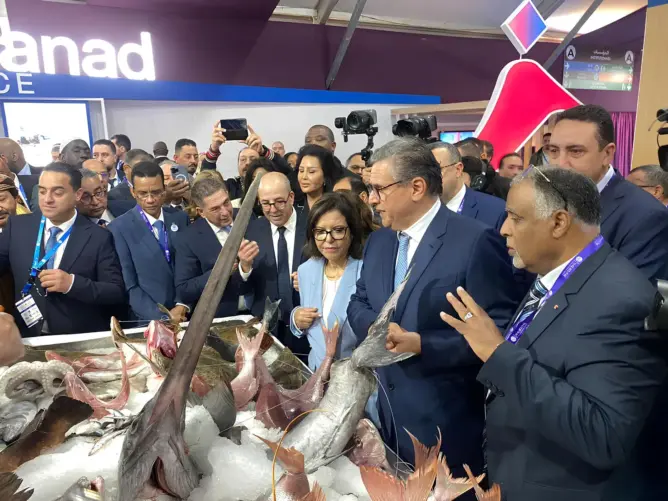 بمشاركة 50 دولة.. أخنوش يفتتح المعرض الدولي للصيد البحري “أليوتيس” بأكادير (فيديو)