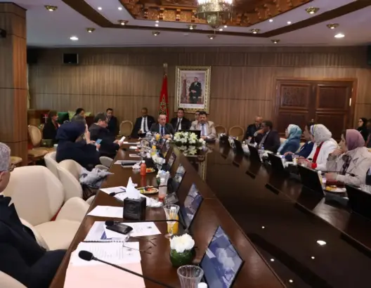 لجنة برلمانية تعتمد مشروع مدونة الأدوية.. والتهراوي: خطوة لتحقيق السيادة اللقاحية