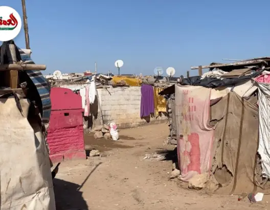 صرخة ساكنة كاريان العبدي بسيدي بنور بعد هدم دور الصفيح