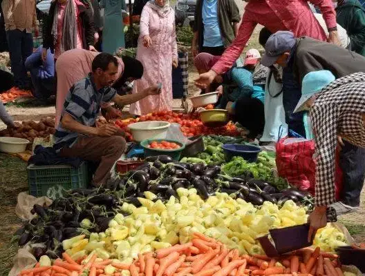 تقرير رسمي: أكثر من 1.4 مليون مغربي في الفقر والغذاء يرفع نفقات الأسر