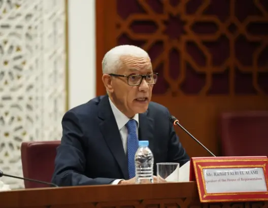 الطالبي: الجنوب يؤدي ثمن نظام دولي “مجحف”.. والجرائم الالكترونية خطر صامت
