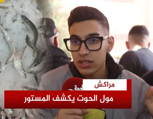 “مول الحوت” يحسم جدل “السردين بـ 5 دراهم” ويتراجع عن إعلان الأسعار (فيديو)
