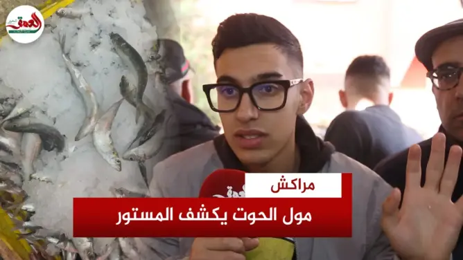 “مول الحوت” يحسم جدل “السردين بـ 5 دراهم” ويتراجع عن إعلان الأسعار (فيديو)