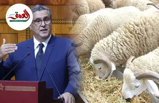 الحكومة ترحب بالقرار الملكي وترفض الإشاعات