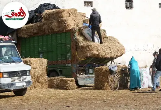 انخفاض في أسعار التبن بعد إلغاء شعيرة النحر