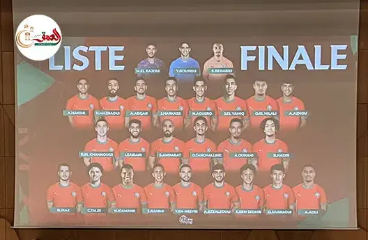 لائحة الأسود لمواجهتي النيجر وتانزانيا