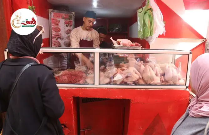 انخفاض سعر الدجاج إلى 17.5 درهم بمراكش.. والتجار يؤكدون وفرة العرض في الأسواق