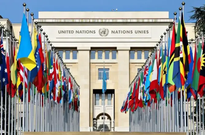 لأول مرة.. لجنة الأمم المتحدة للمخدرات تعتمد قرارا غير مسبوق للمغرب وفرنسا والبرازيل