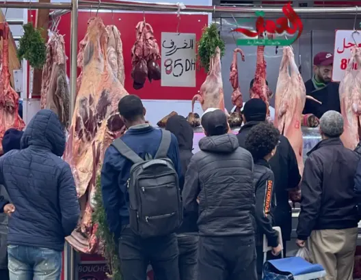 تذبذب أسعار اللحوم بطنجة رغم انخفاض أسعار المواشي