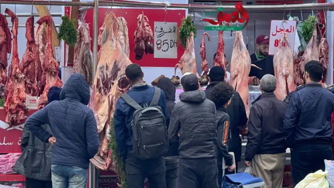 تذبذب أسعار اللحوم بطنجة رغم انخفاض أسعار المواشي