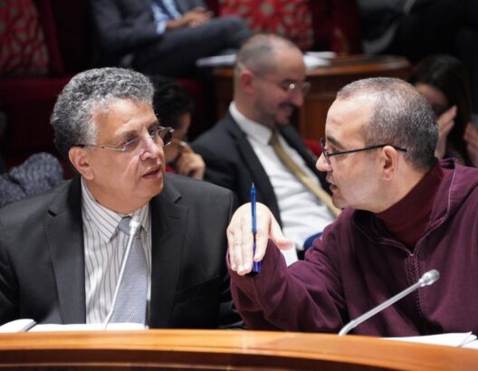 اللجوء إلى البصمات الجينية يثير سجالا في البرلمان ووهبي يبدد مخاوف النواب