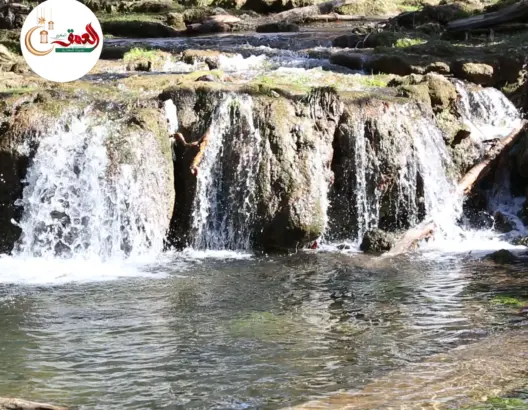 الأمطار الأخيرة تعيد الحياة لعين فيتال بإفران