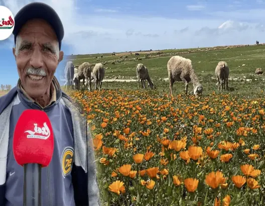 الأمطار ترفع مطالب  الكسابة لمراقبة توزيع الدعم