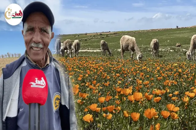 الأمطار ترفع مطالب  الكسابة لمراقبة توزيع الدعم